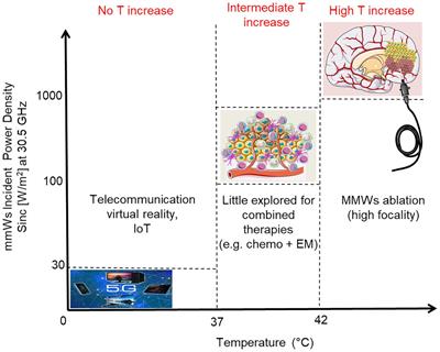 On the effects of 30.5 GHz sinusoidal wave exposure on glioblastoma organoids